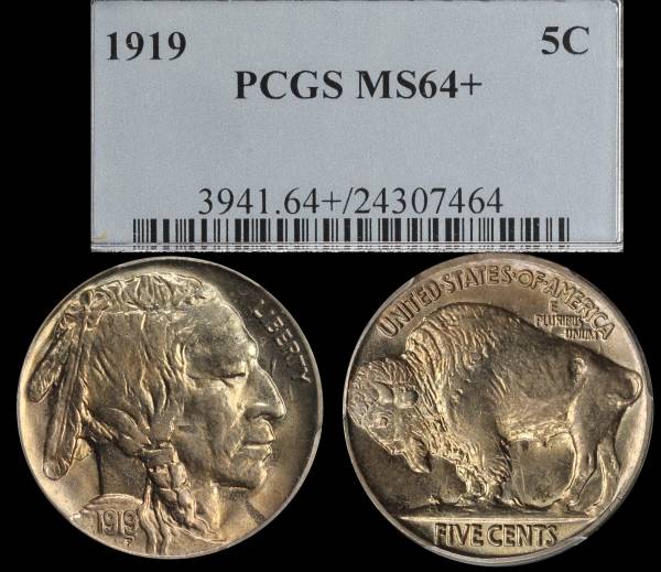 1919 P Buffalo Nickel PCGS MS64+